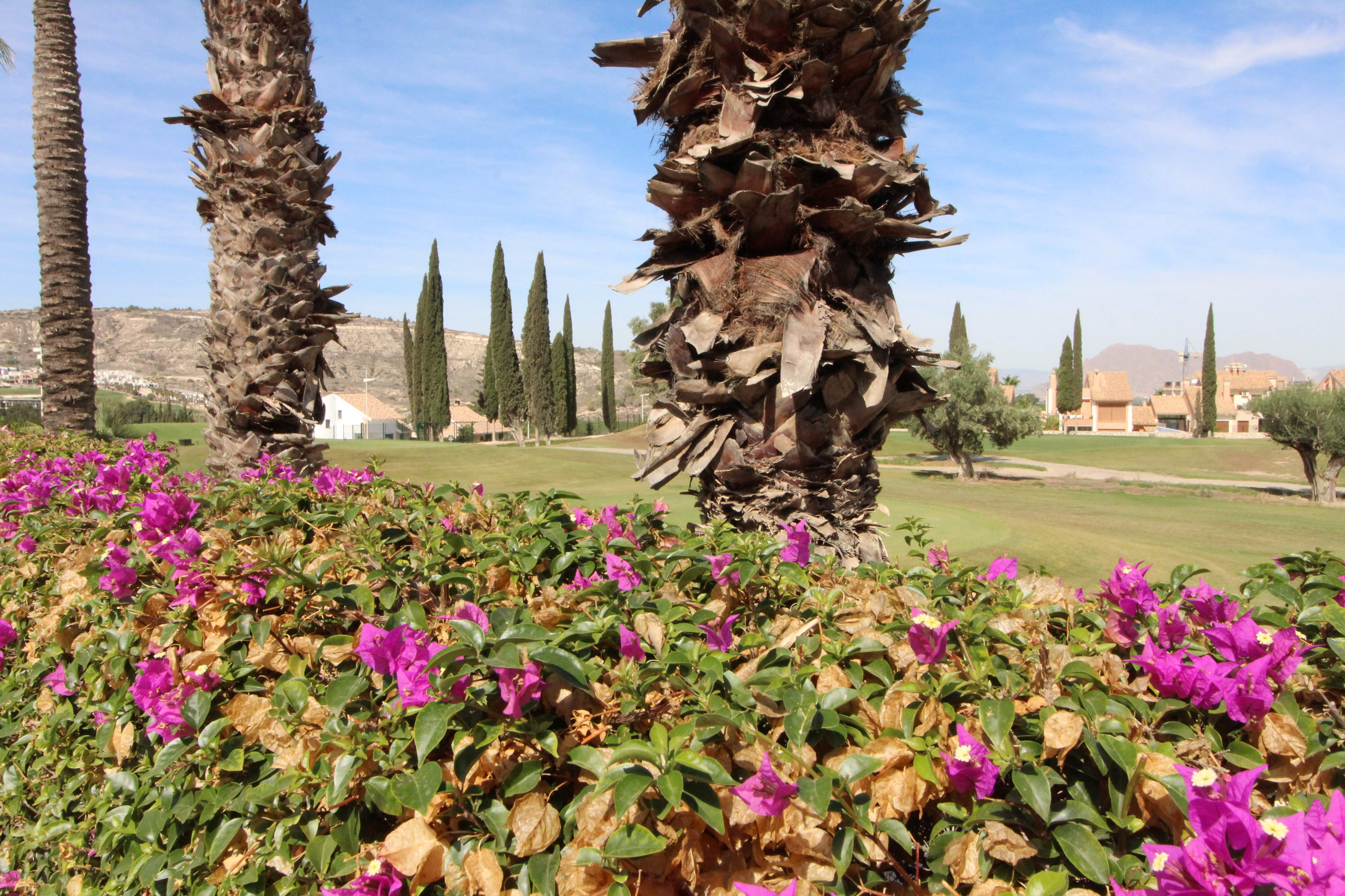 3 Bed, 2 Bath, HouseFor Sale, Algorfa, Alicante