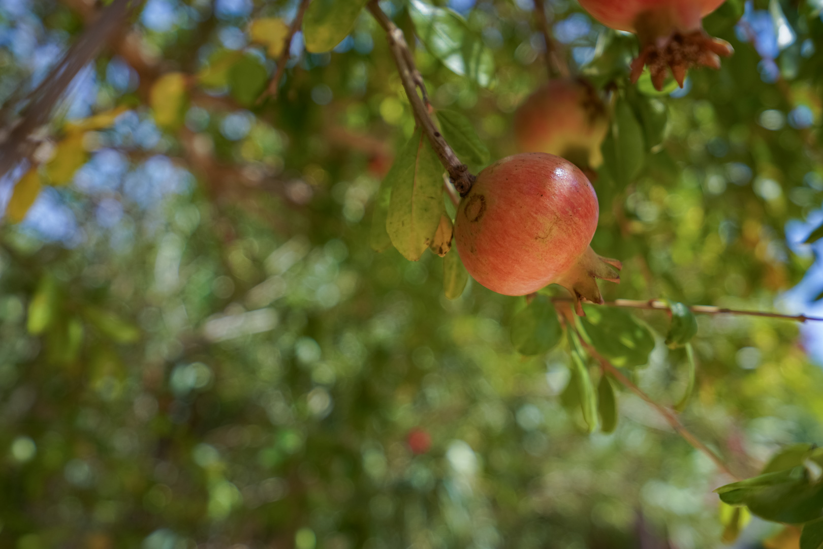 3 Bed, 2 Bath, HouseFor Sale, Javea, Alicante