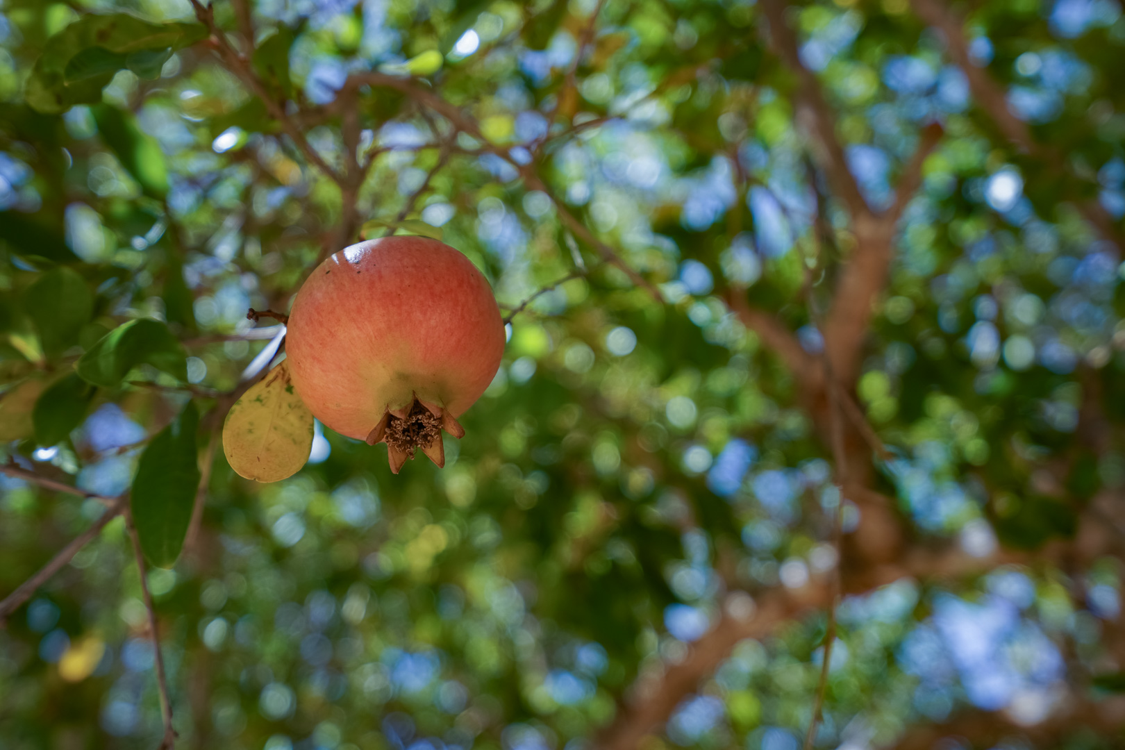 3 Bed, 2 Bath, HouseFor Sale, Javea, Alicante