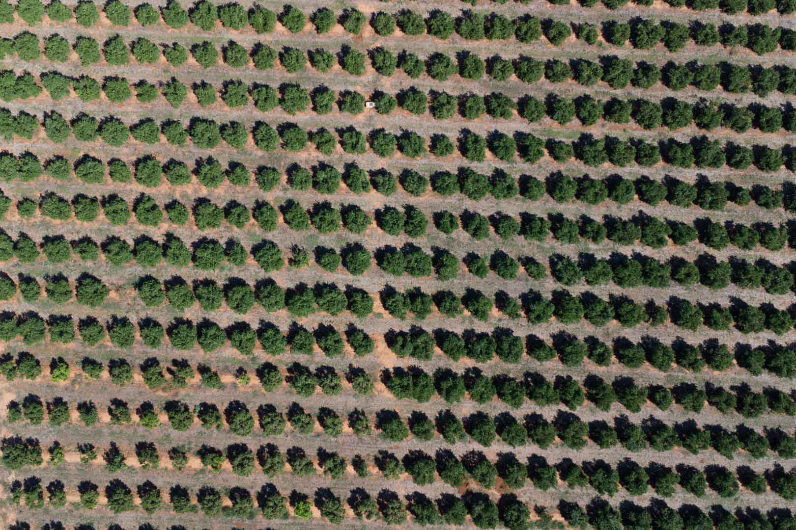 HouseFor Sale, Denia, Alicante