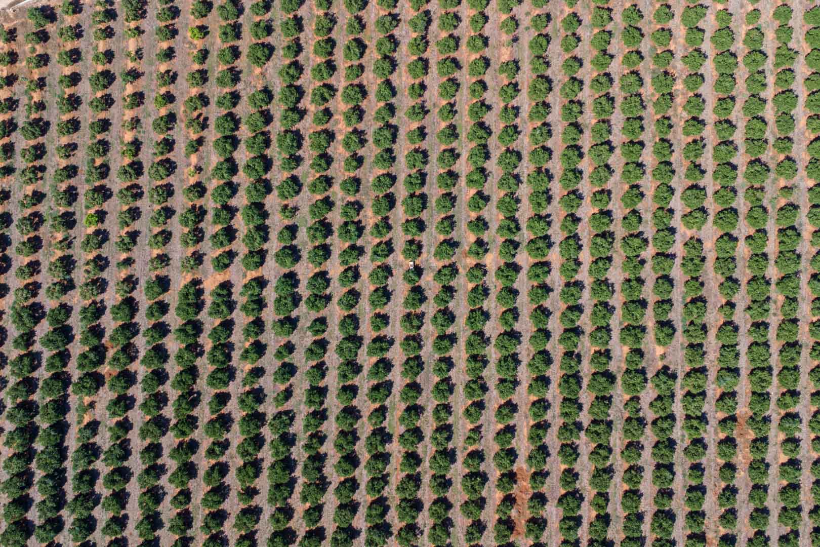 HouseFor Sale, Denia, Alicante