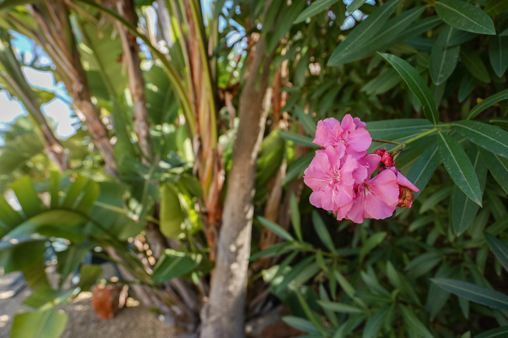 3 Bed, 3 Bath, HouseFor Sale, Javea, Alicante