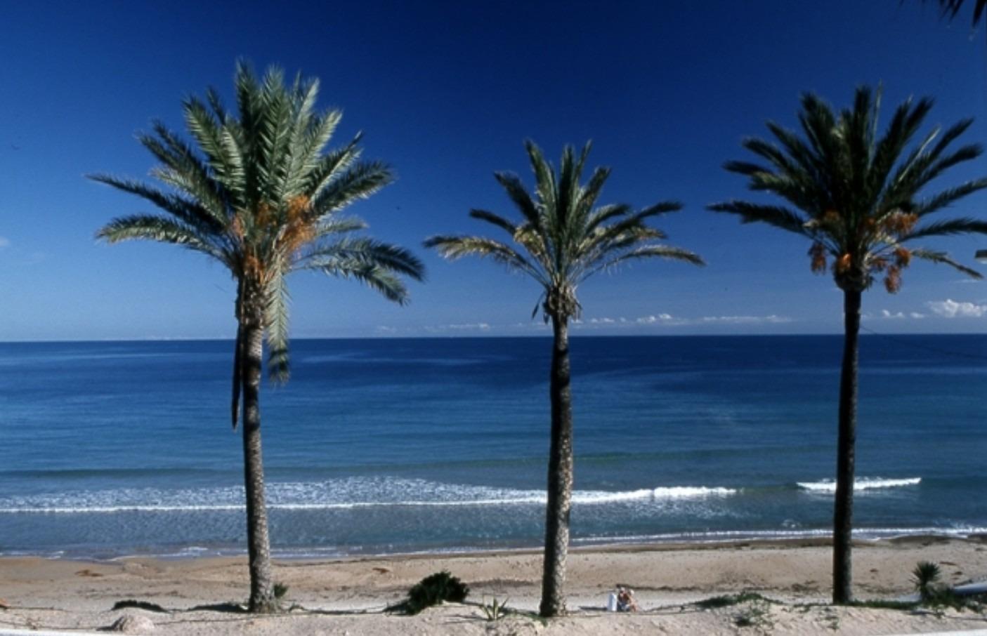 2 Bed, 2 Bath, HouseFor Sale, Pilar De La Horadada, Alicante