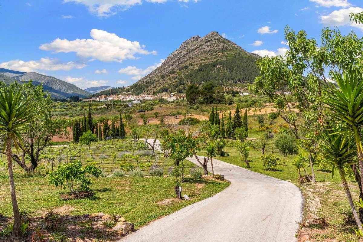 4 Bed, 2 Bath, HouseFor Sale, Jalon Valley, Alicante