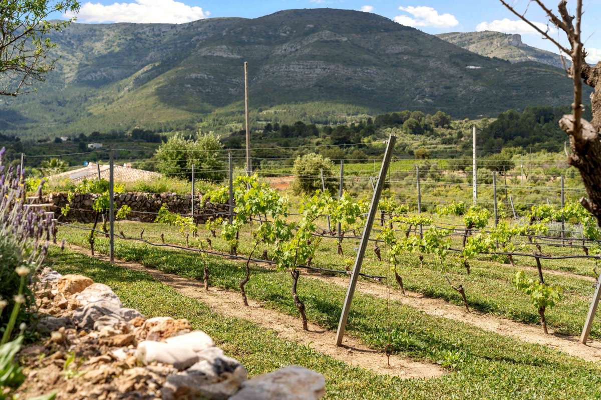 4 Bed, 2 Bath, HouseFor Sale, Jalon Valley, Alicante