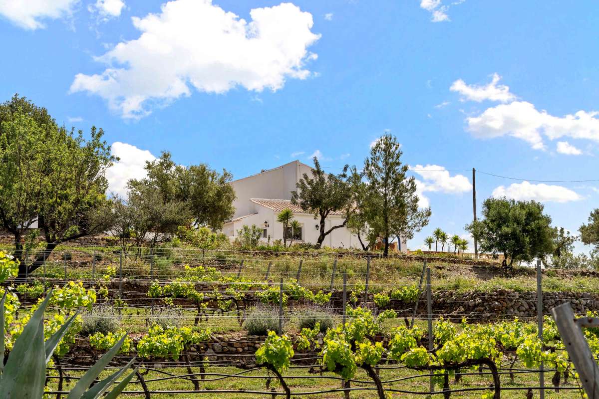 4 Bed, 2 Bath, HouseFor Sale, Jalon Valley, Alicante