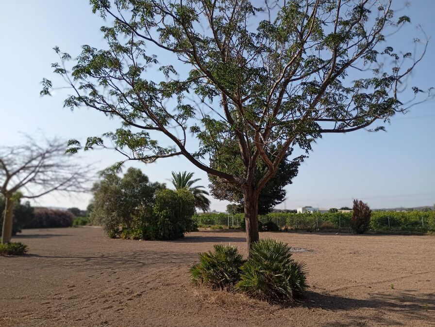 4 Bed, 3 Bath, HouseFor Sale, Daya Nueva, Alicante