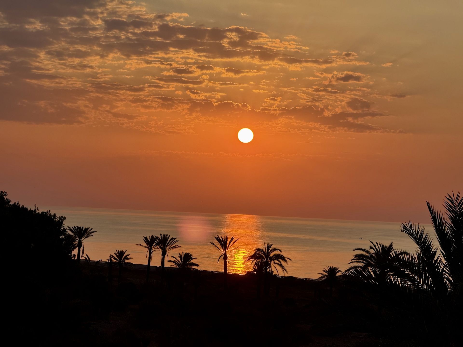 3 Bed, 2 Bath, ApartmentFor Sale, San Miguel de Salinas, Alicante