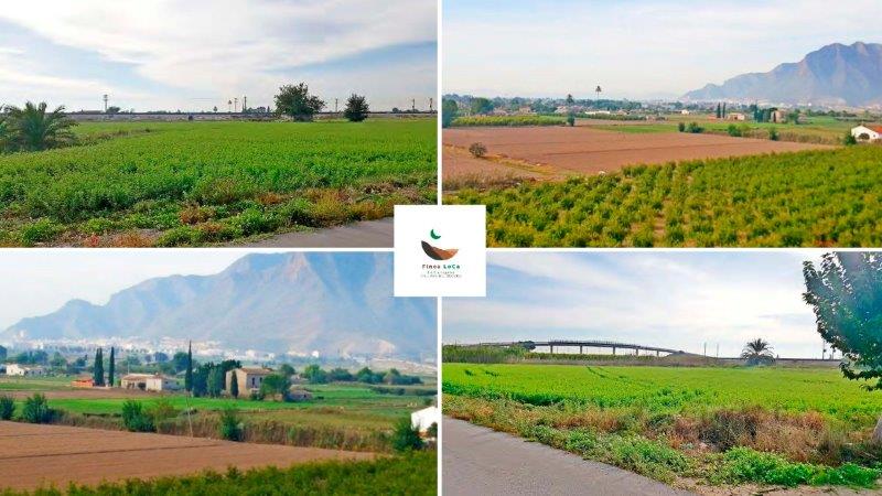 1 Bed, 1 Bath, HouseFor Sale, Callosa De Segura, Alicante