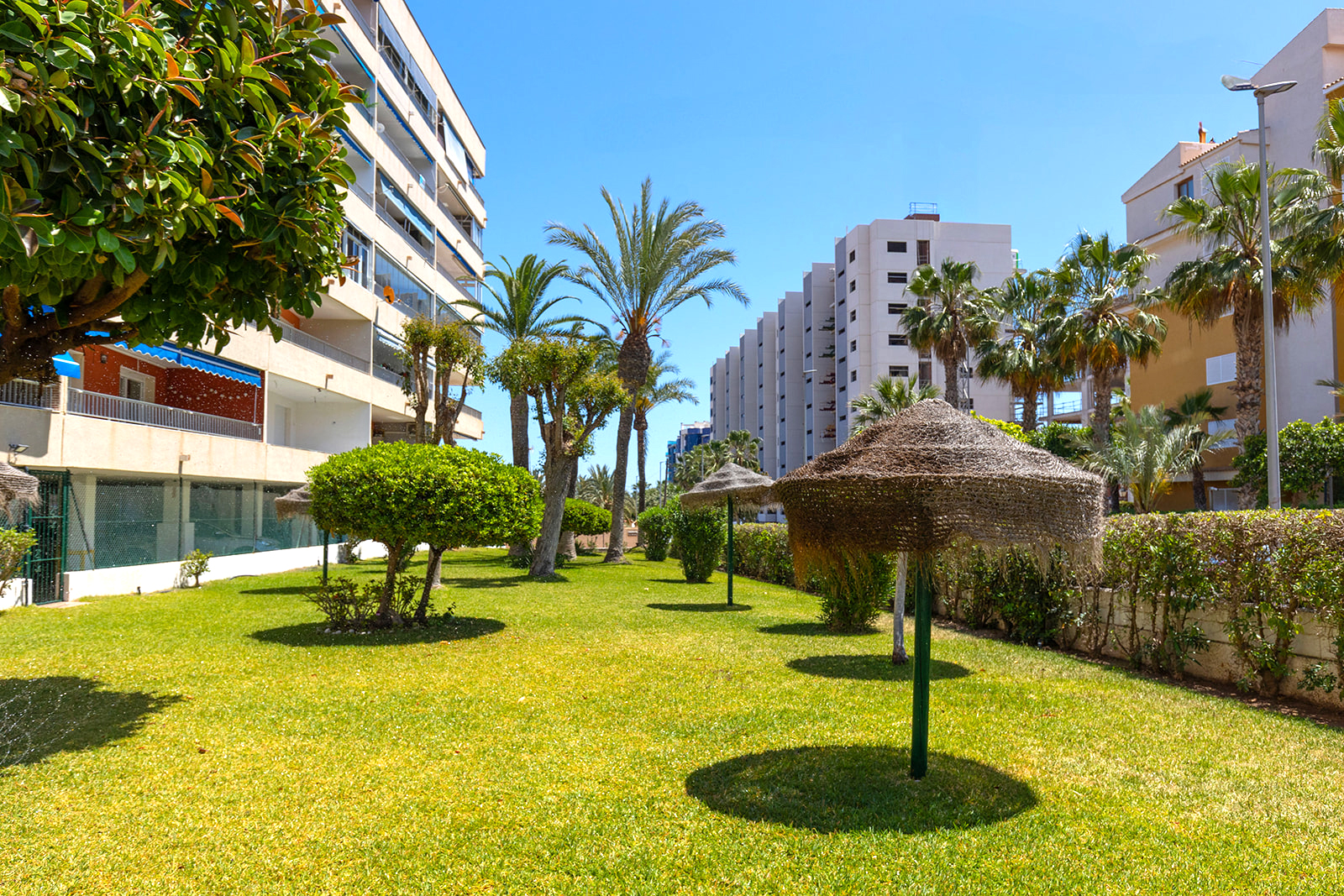 1 Bed, 1 Bath, ApartmentFor Sale, Torrevieja, Alicante