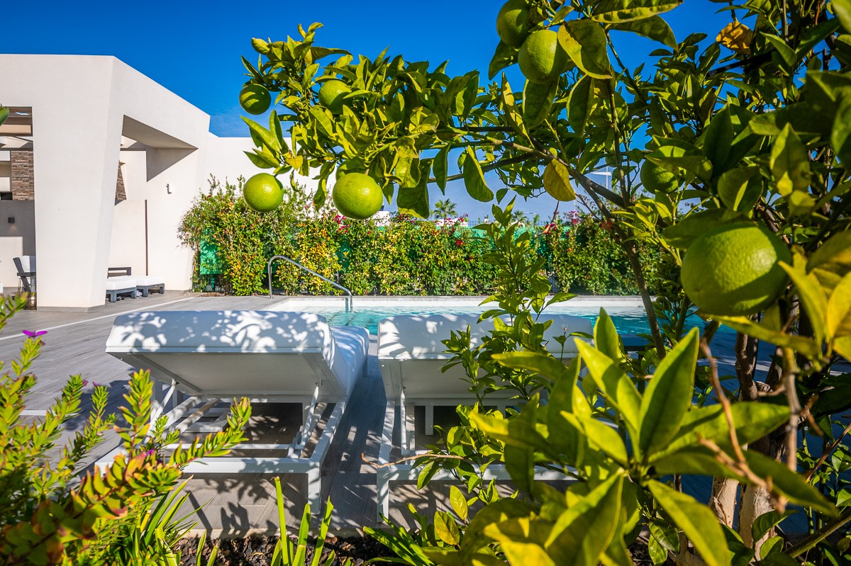 2 Bed, 2 Bath, HouseFor Sale, Algorfa, Alicante