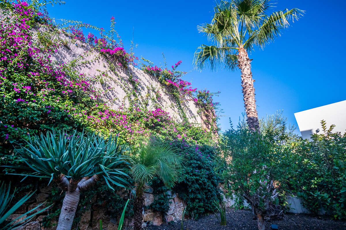 2 Bed, 2 Bath, HouseFor Sale, Algorfa, Alicante