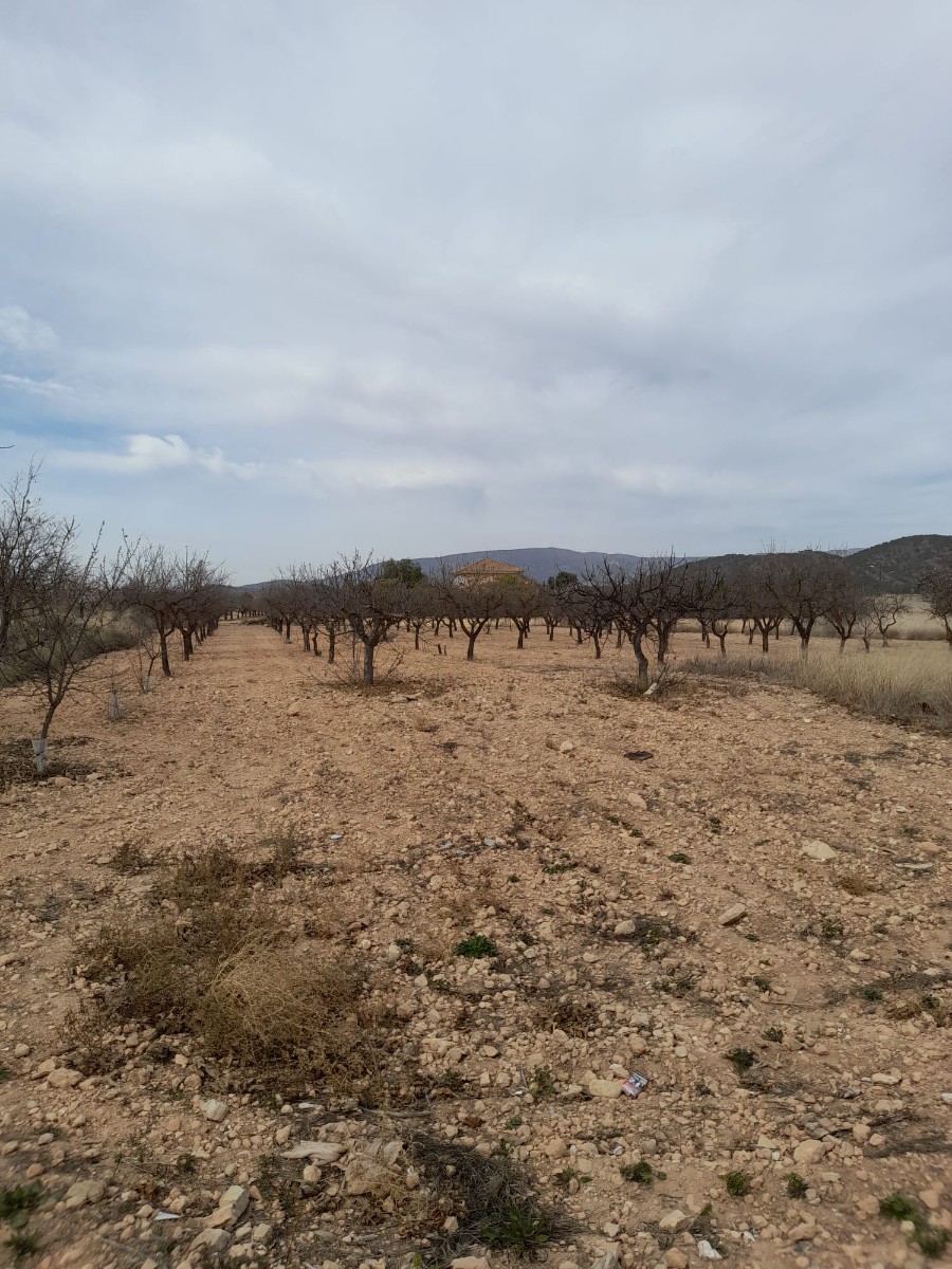 5 Bed, 2 Bath, HouseFor Sale, Casas Del Senor, Alicante