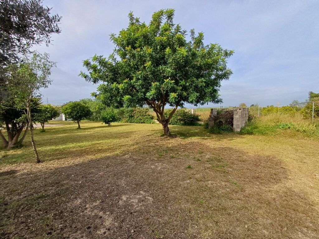 2 Bed, 1 Bath, HouseFor Sale, Oliva, Valencia, 46780