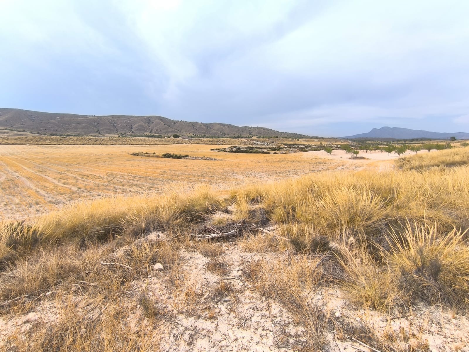 6 Bed, 2 Bath, HouseFor Sale, Jumilla, Murcia