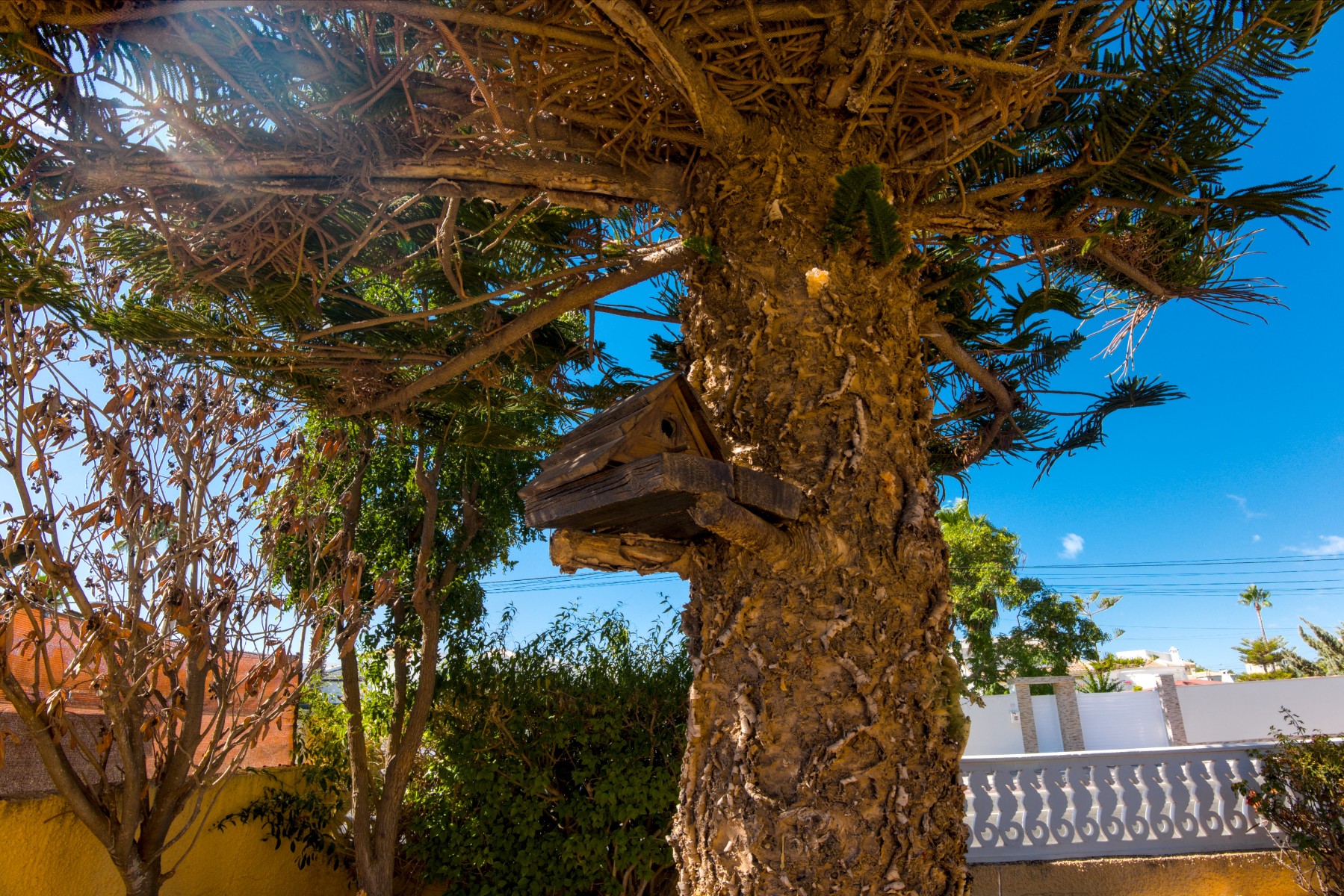 2 Bed, 1 Bath, HouseFor Sale, La Siesta, Alicante