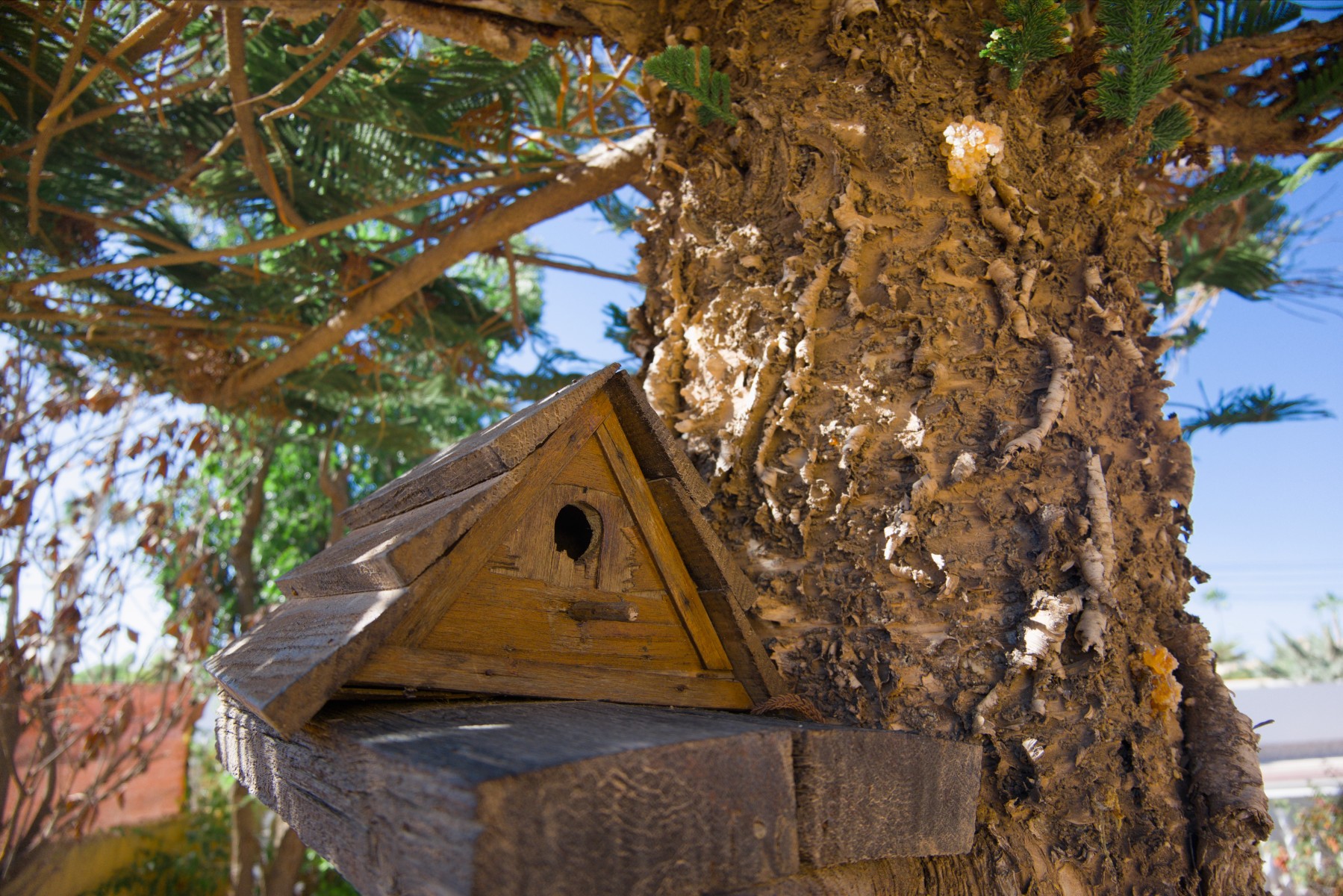 2 Bed, 1 Bath, HouseFor Sale, La Siesta, Alicante