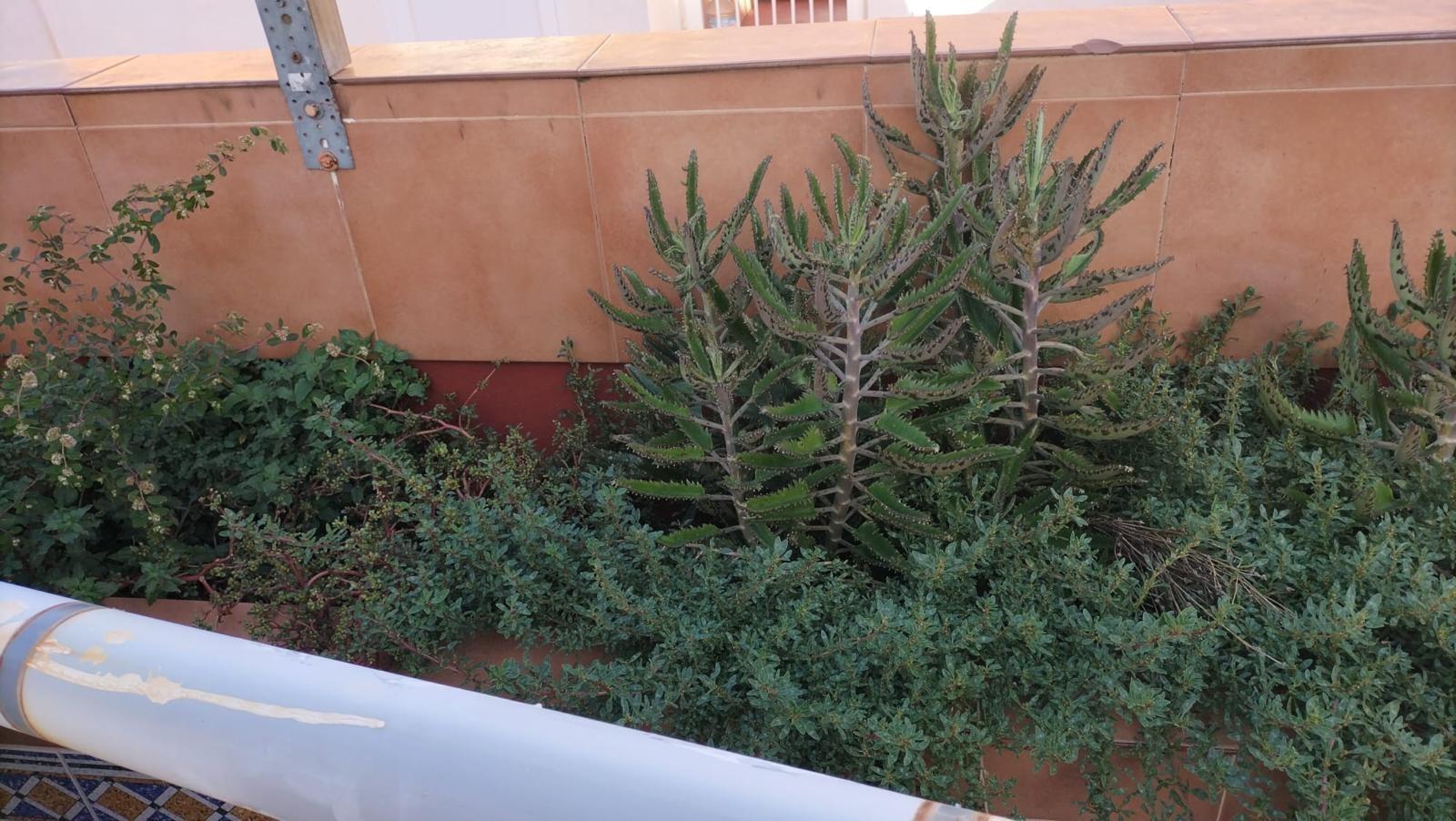 2 Bed, 1 Bath, ApartmentFor Sale, Torrevieja, Alicante