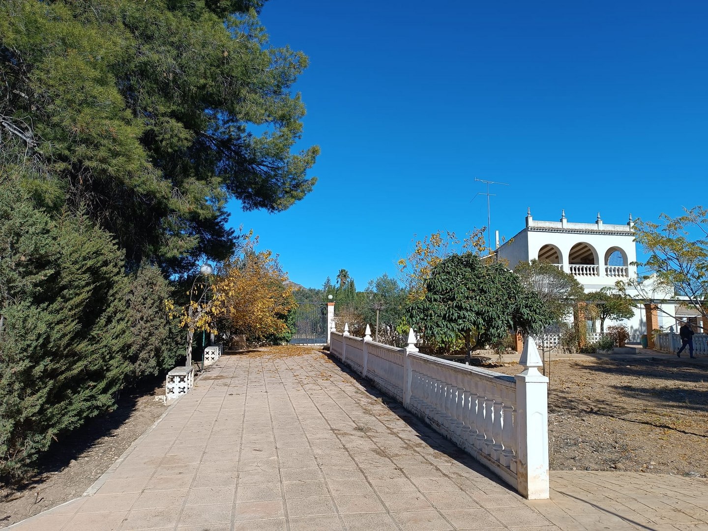 5 Bed, 2 Bath, HouseFor Sale, Yecla, Murcia
