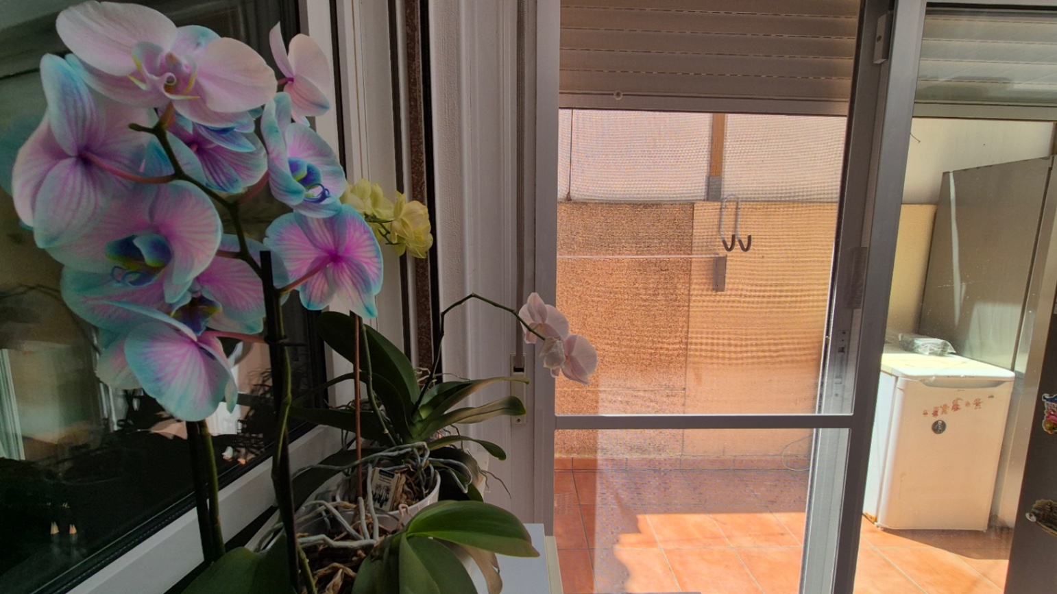 3 Bed, 2 Bath, HouseFor Sale, Torrevieja, Alicante