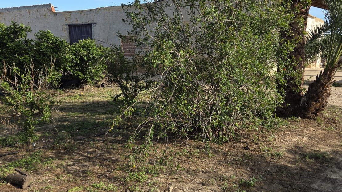 HouseFor Sale, Albatera, Alicante