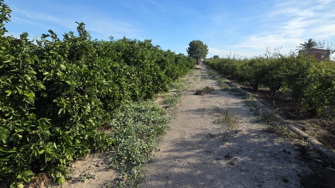 HouseFor Sale, Albatera, Alicante