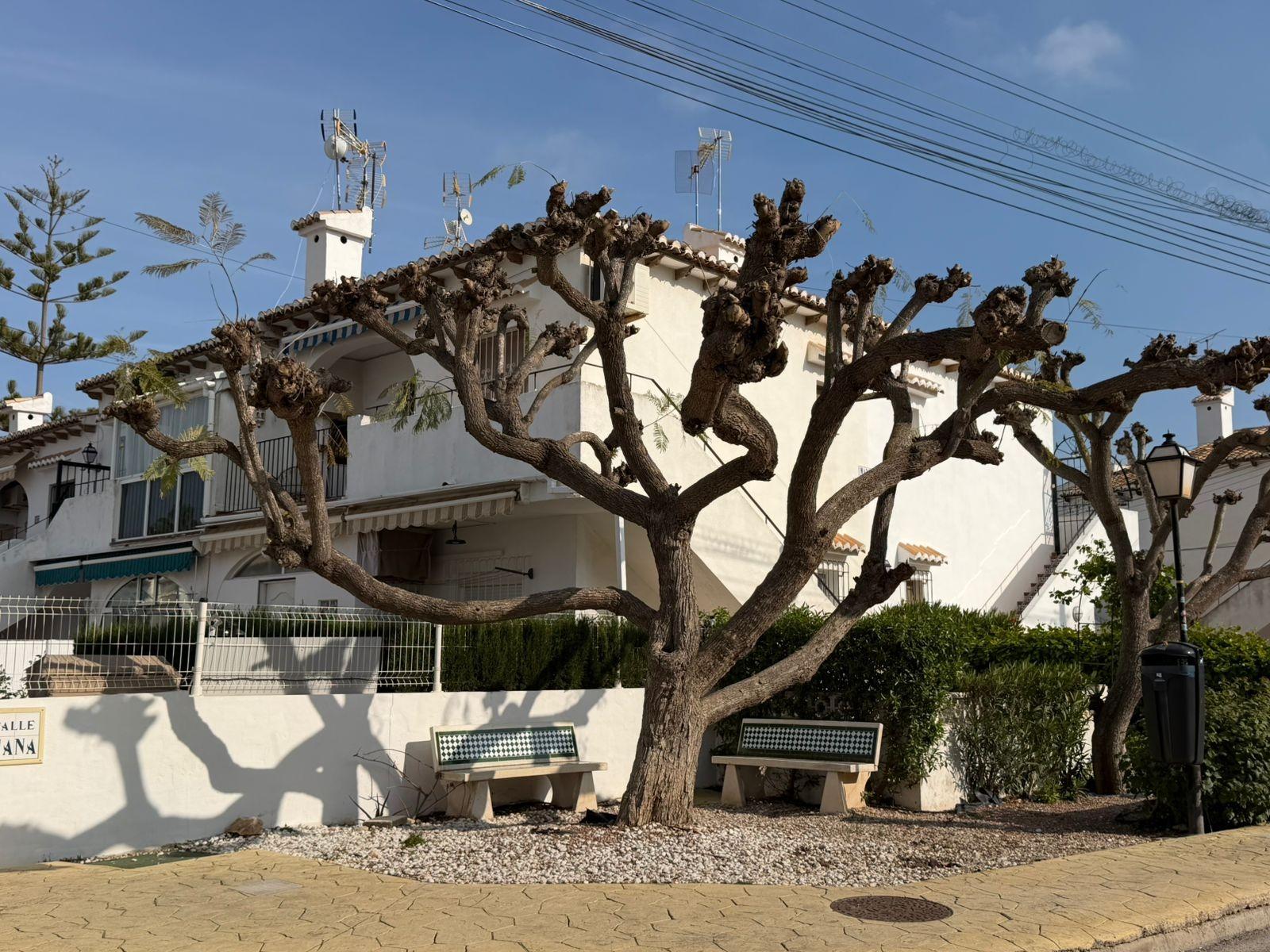 1 Bed, 1 Bath, ApartmentFor Sale, Torrevieja, Alicante