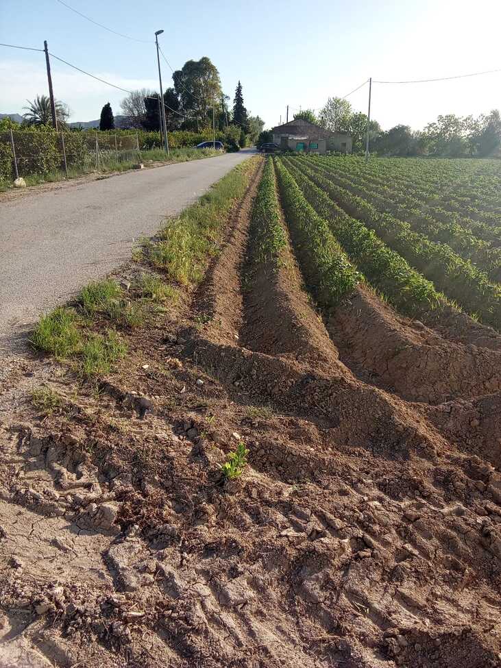 1 Bed, 1 Bath, HouseFor Sale, Arneva, Alicante