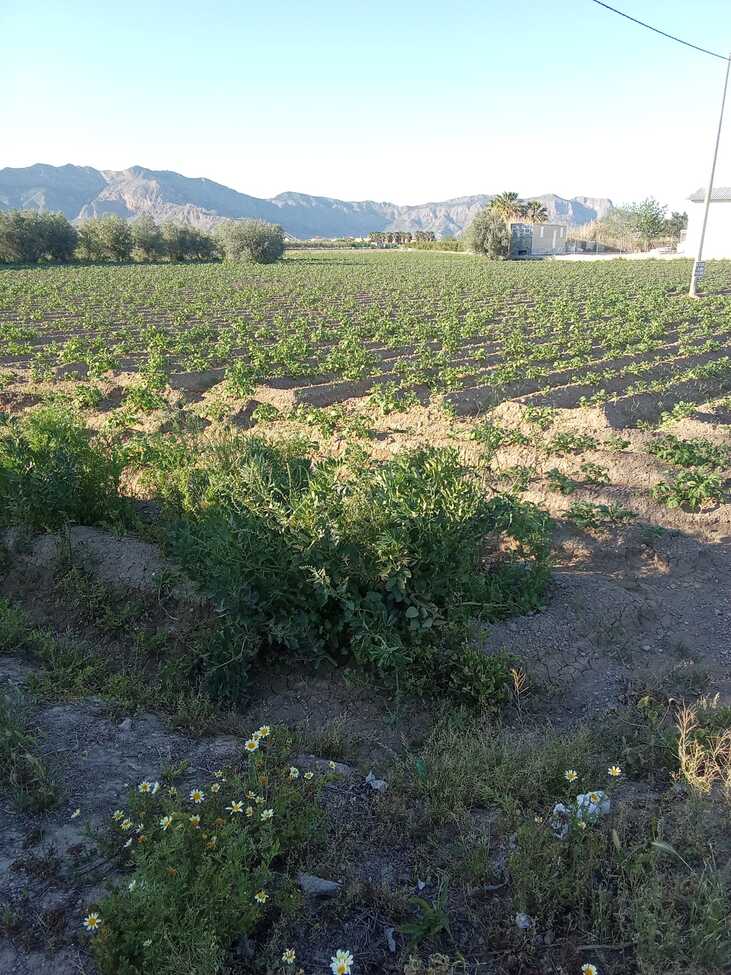 1 Bed, 1 Bath, HouseFor Sale, Arneva, Alicante