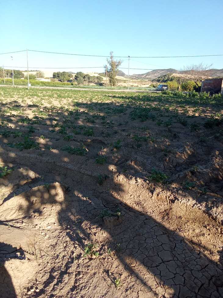 1 Bed, 1 Bath, HouseFor Sale, Arneva, Alicante