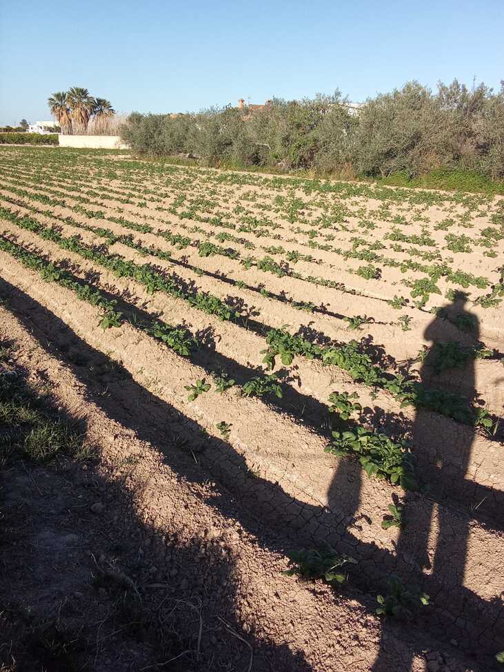 1 Bed, 1 Bath, HouseFor Sale, Arneva, Alicante