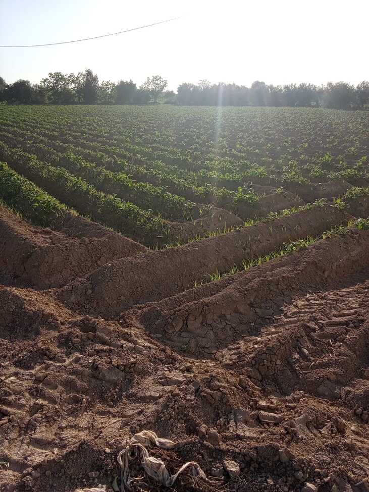 1 Bed, 1 Bath, HouseFor Sale, Arneva, Alicante