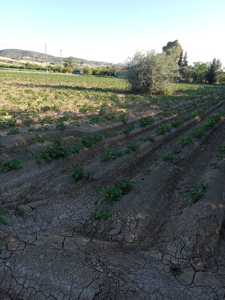 1 Bed, 1 Bath, HouseFor Sale, Arneva, Alicante