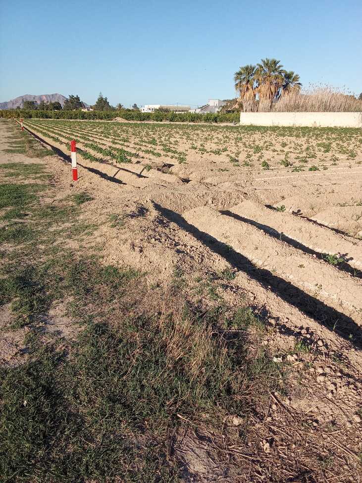 1 Bed, 1 Bath, HouseFor Sale, Arneva, Alicante