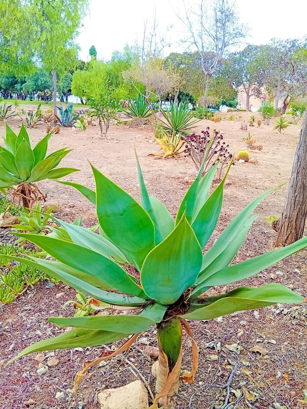 2 Bed, 1 Bath, ApartmentFor Sale, Orihuela Costa, Alicante