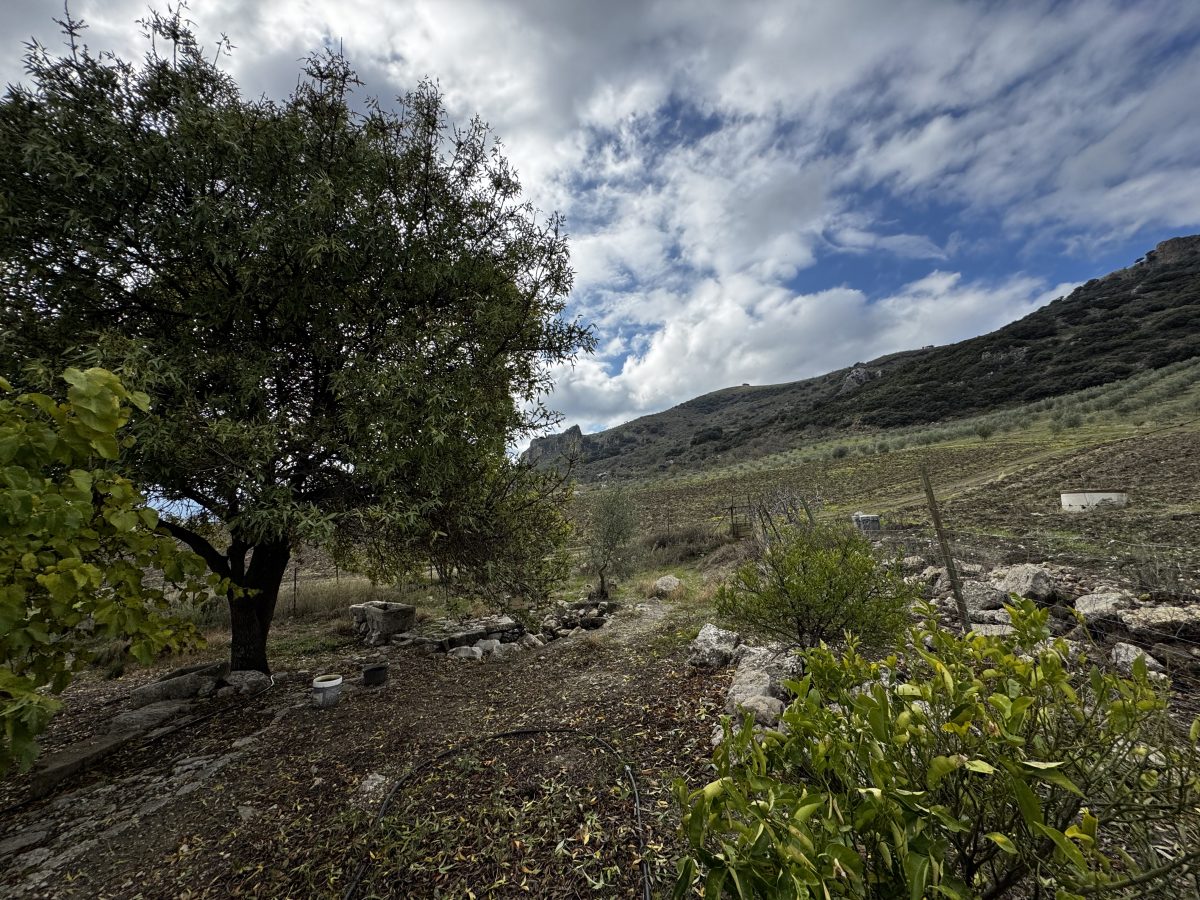 4 Bed, 2 Bath, HouseFor Sale, Montecorto, Andalucia