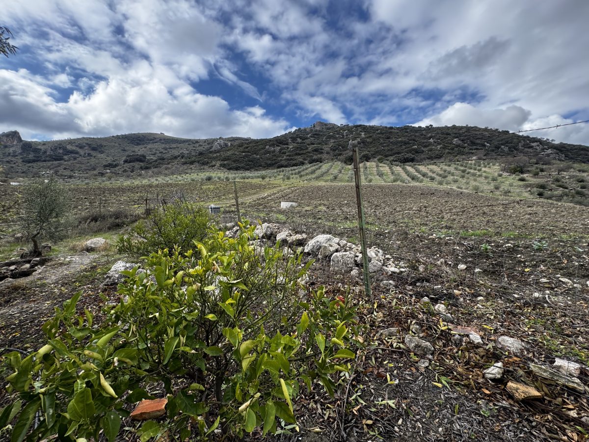 4 Bed, 2 Bath, HouseFor Sale, Montecorto, Andalucia