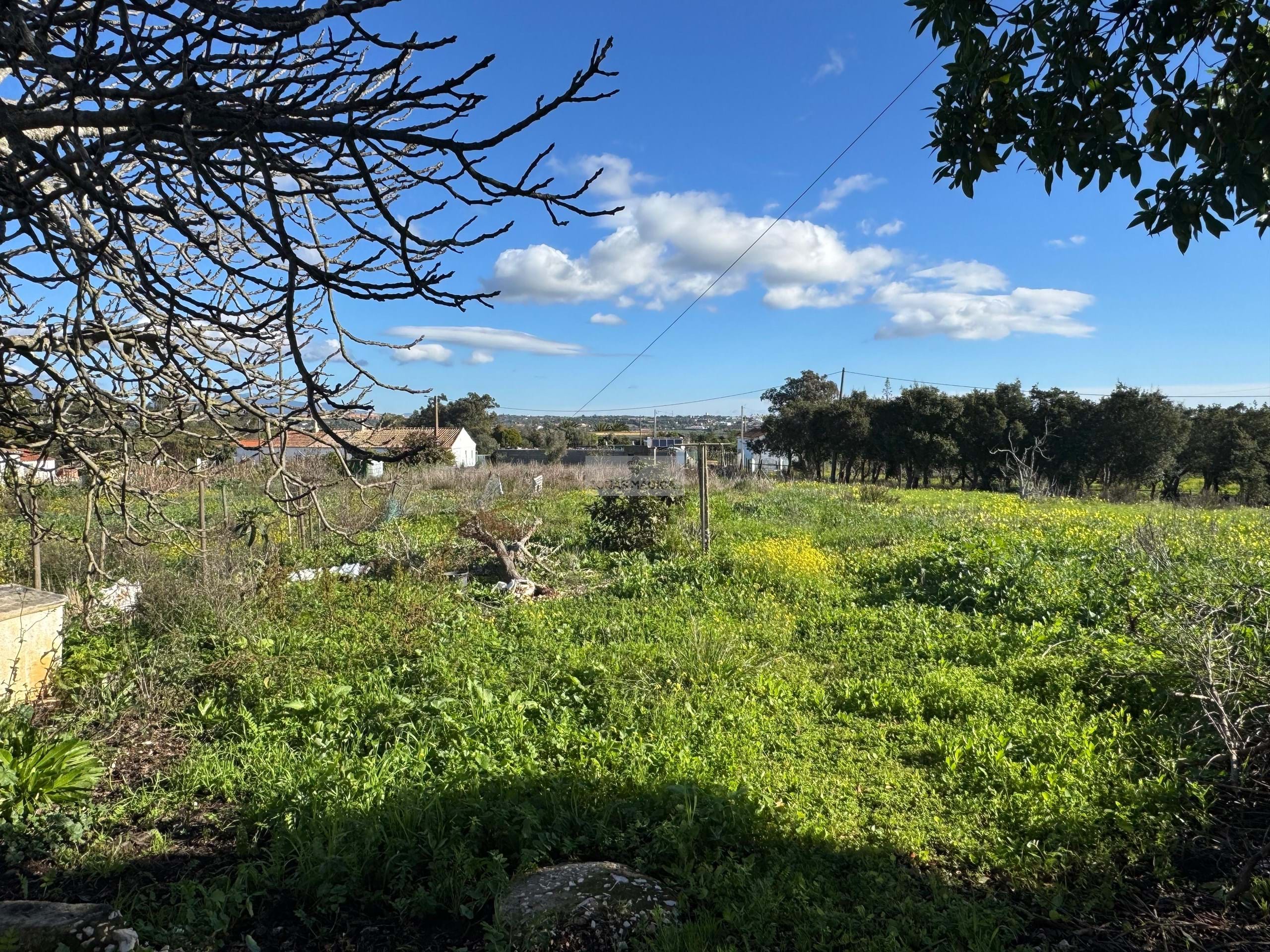 4 Bed, 2 Bath, HouseFor Sale, Lagos, Faro, 8600-252