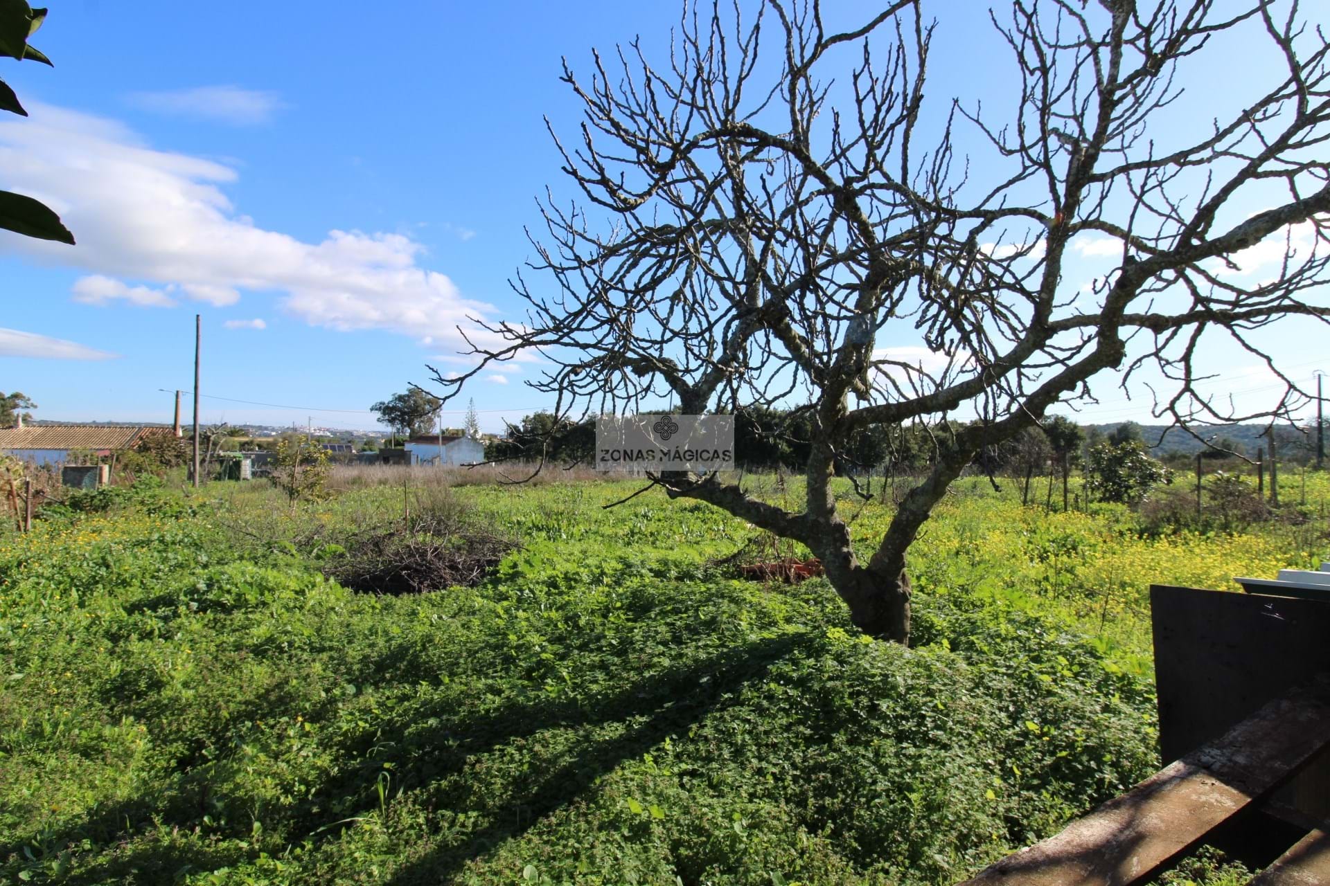 4 Bed, 2 Bath, HouseFor Sale, Lagos, Faro, 8600-252