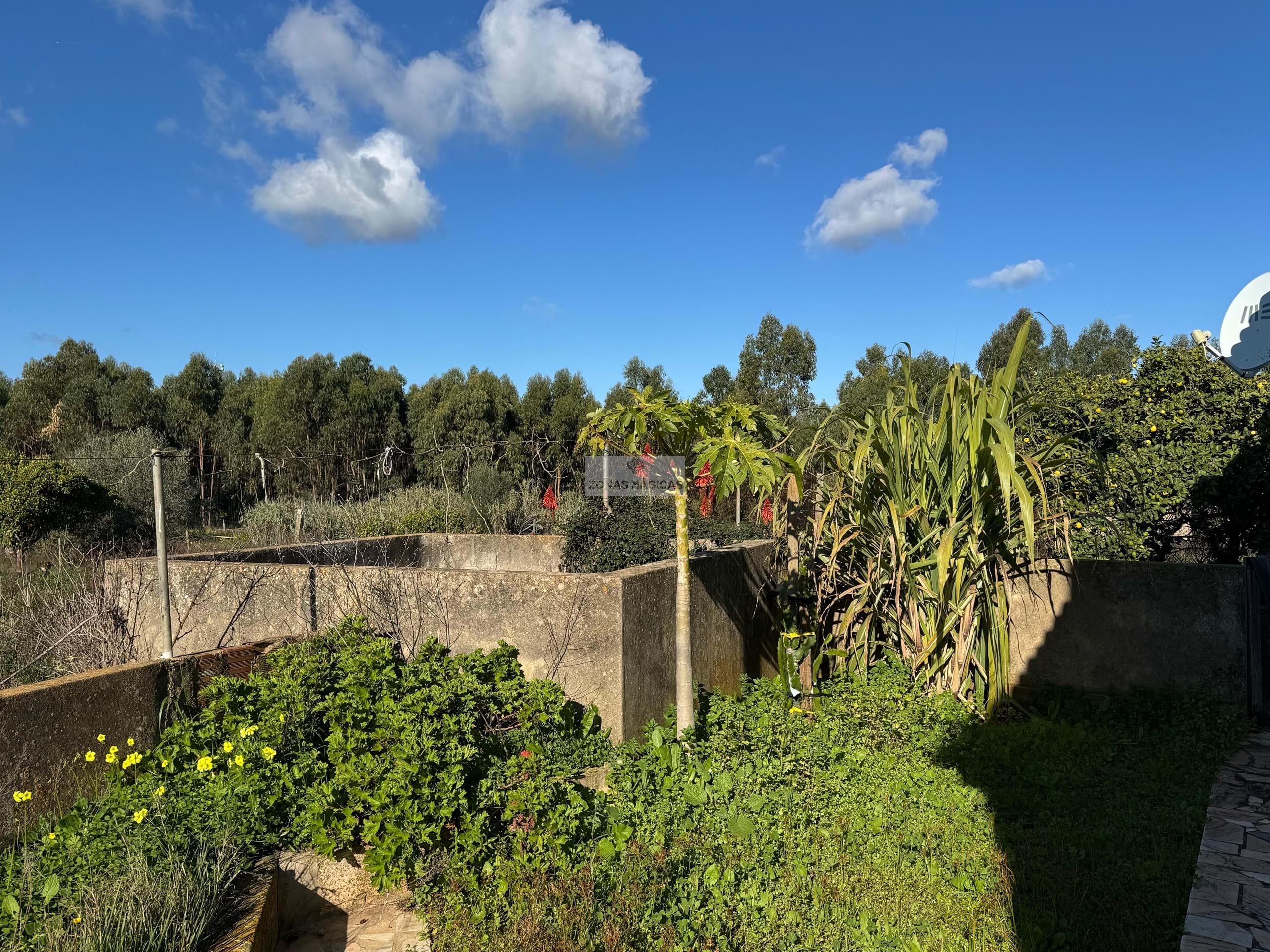 4 Bed, 2 Bath, HouseFor Sale, Lagos, Faro, 8600-252