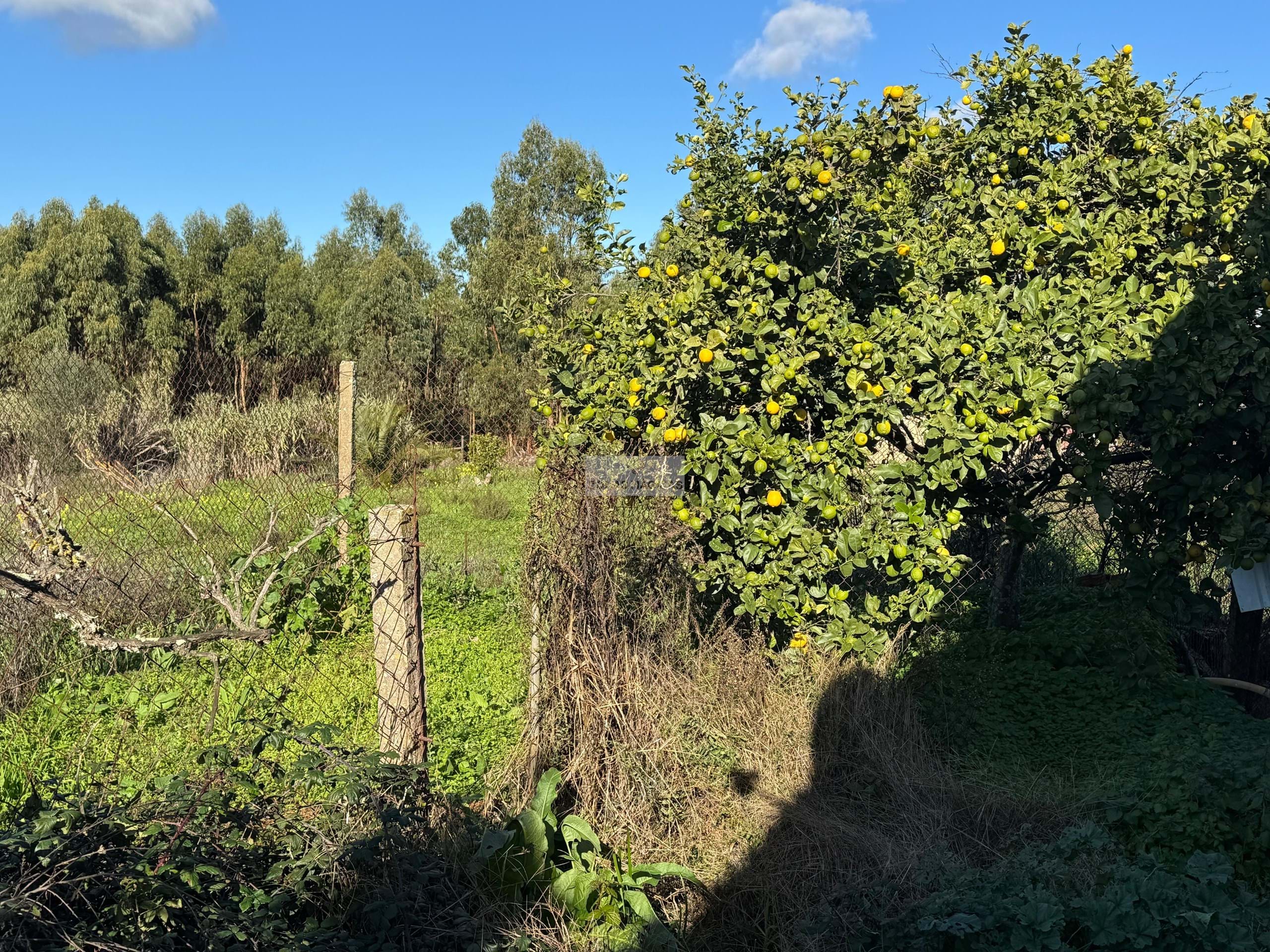 4 Bed, 2 Bath, HouseFor Sale, Lagos, Faro, 8600-252