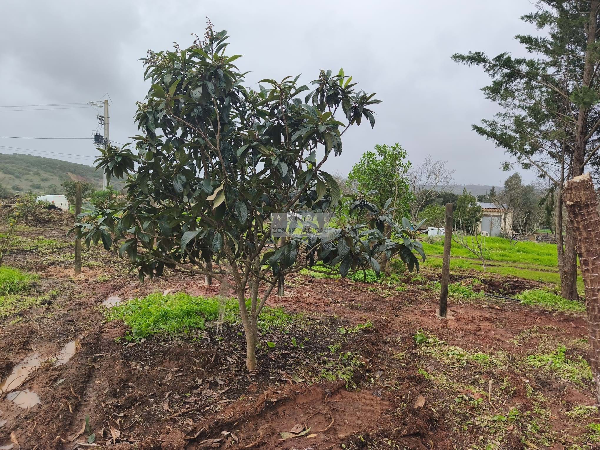 1 Bed, 1 Bath, HouseFor Sale, Lagos, Faro, 860-069