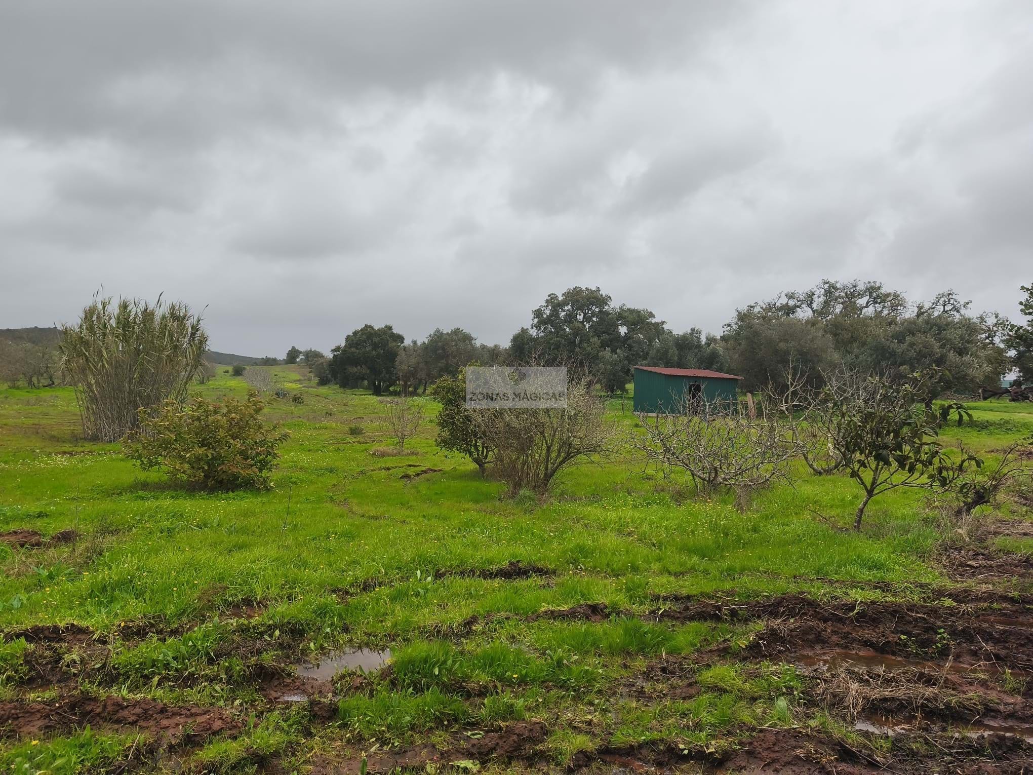 1 Bed, 1 Bath, HouseFor Sale, Lagos, Faro, 860-069