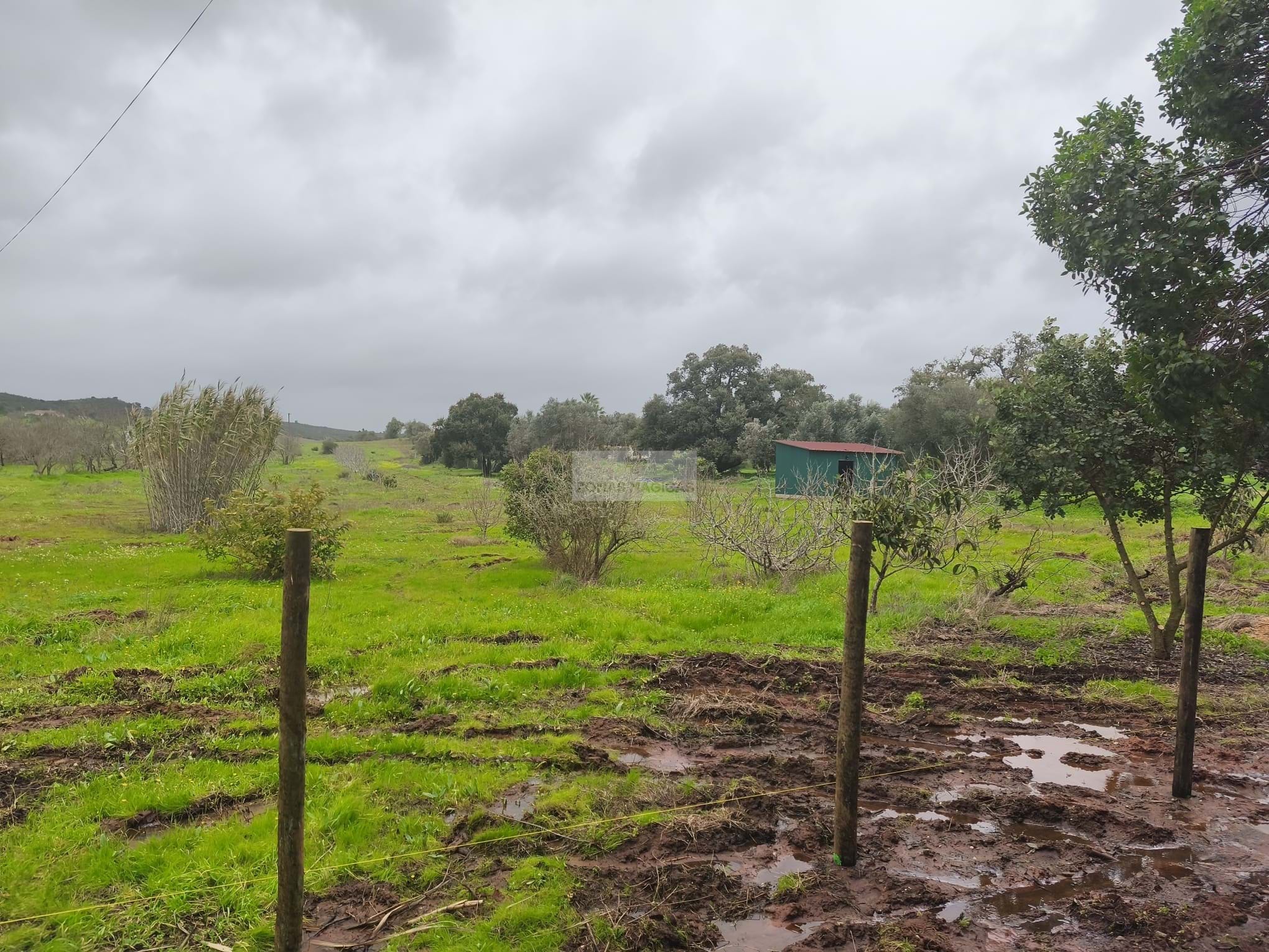 1 Bed, 1 Bath, HouseFor Sale, Lagos, Faro, 860-069