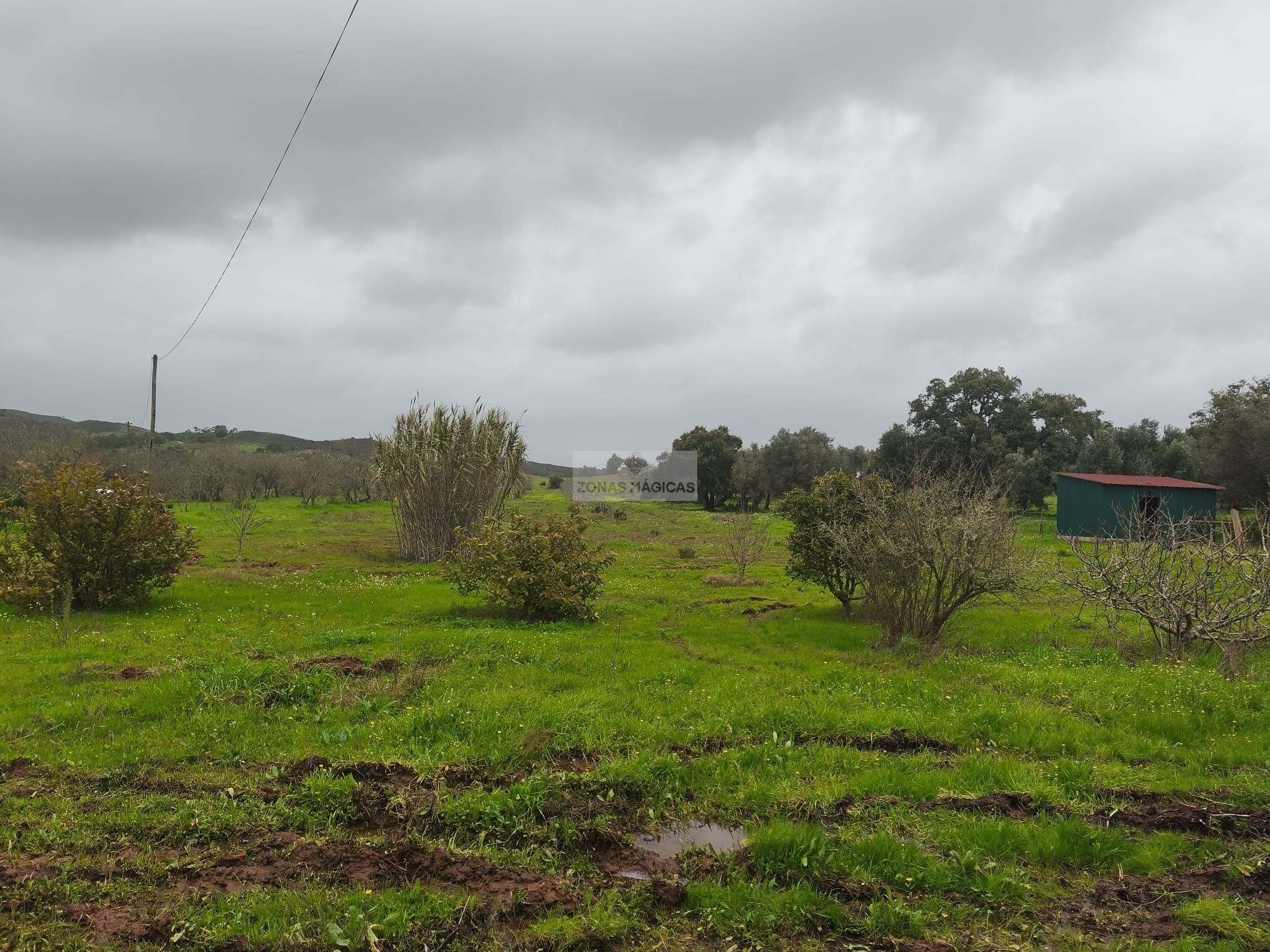 1 Bed, 1 Bath, HouseFor Sale, Lagos, Faro, 860-069