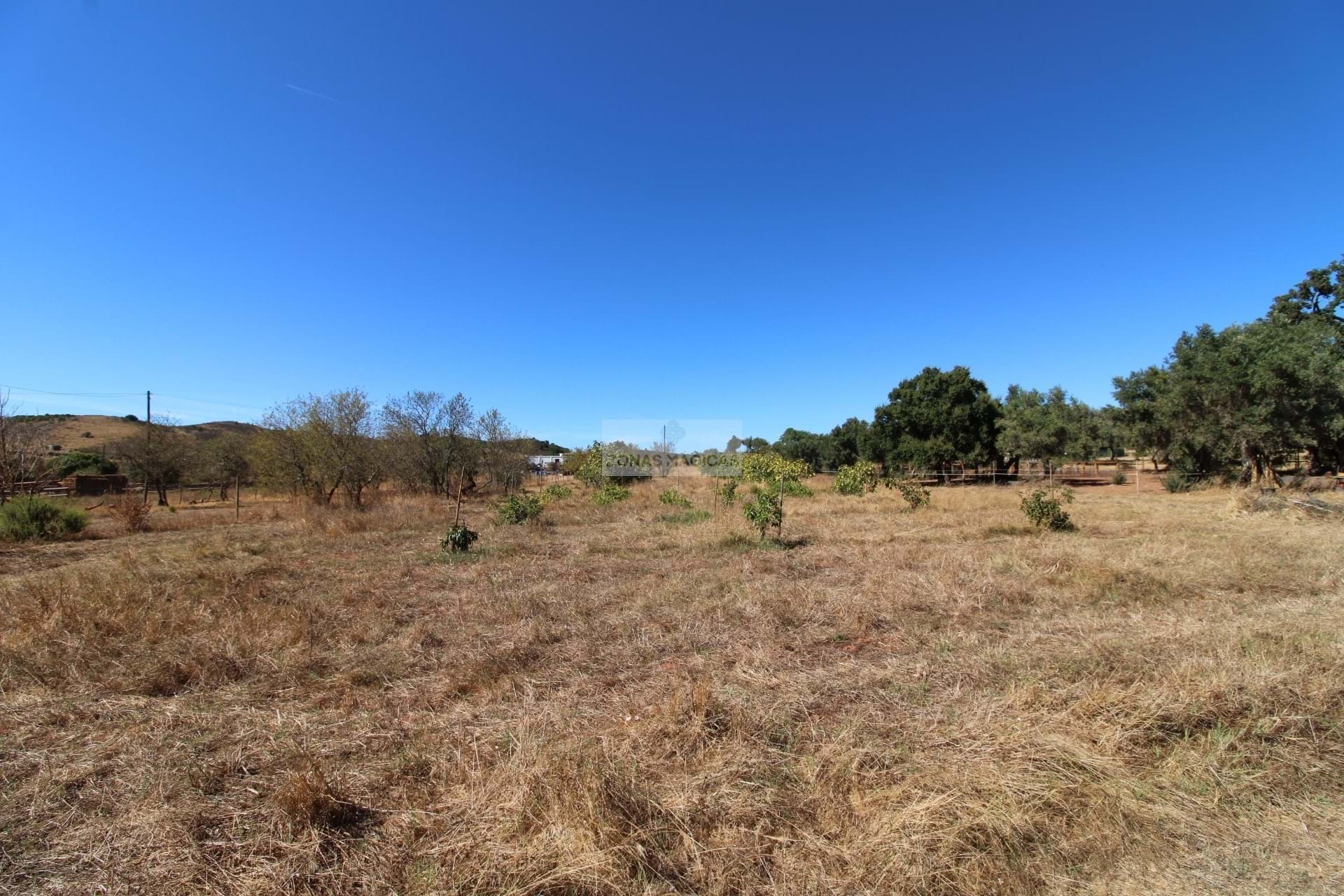 1 Bed, 1 Bath, HouseFor Sale, Lagos, Faro, 860-069