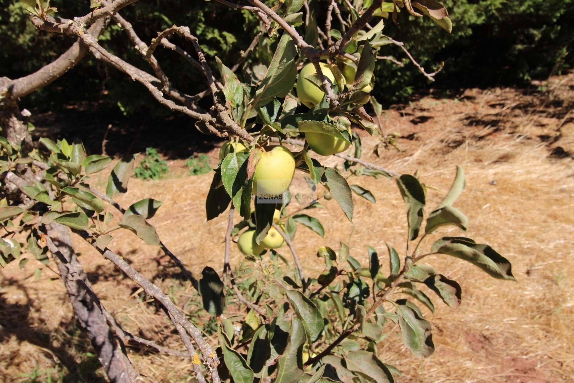 1 Bed, 1 Bath, HouseFor Sale, Lagos, Faro, 860-069