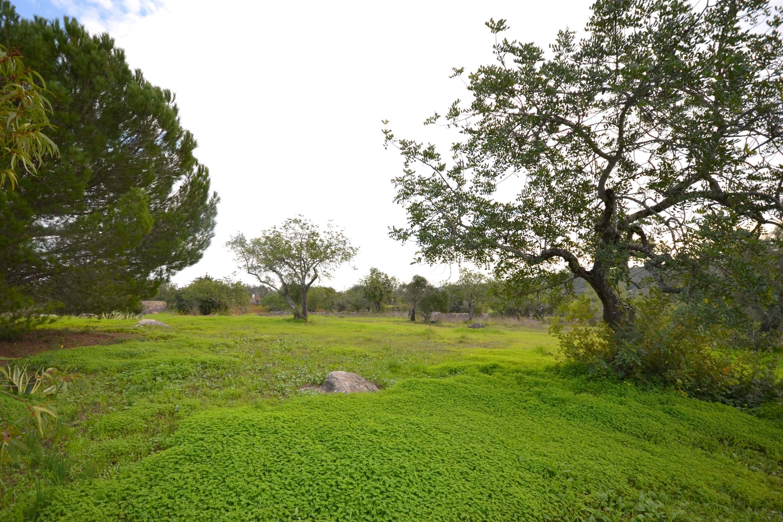 3 Bed, 2 Bath, HouseFor Sale, Sao Bras De Alportel, Faro, 8150-040