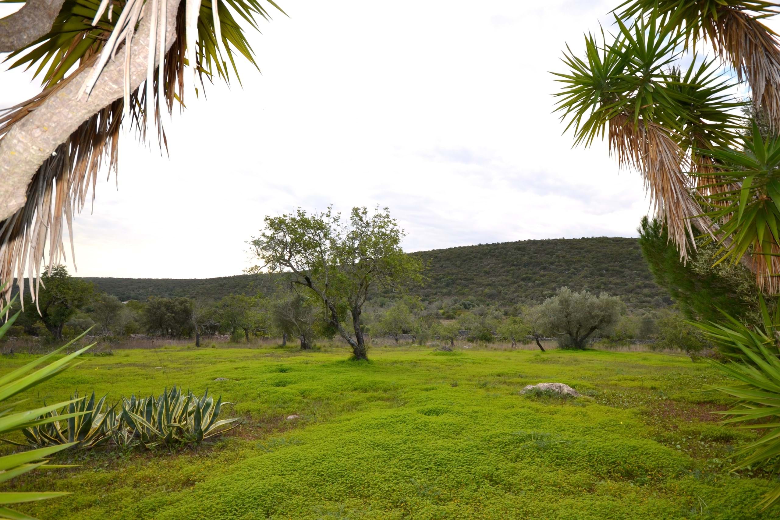 3 Bed, 2 Bath, HouseFor Sale, Sao Bras De Alportel, Faro, 8150-040