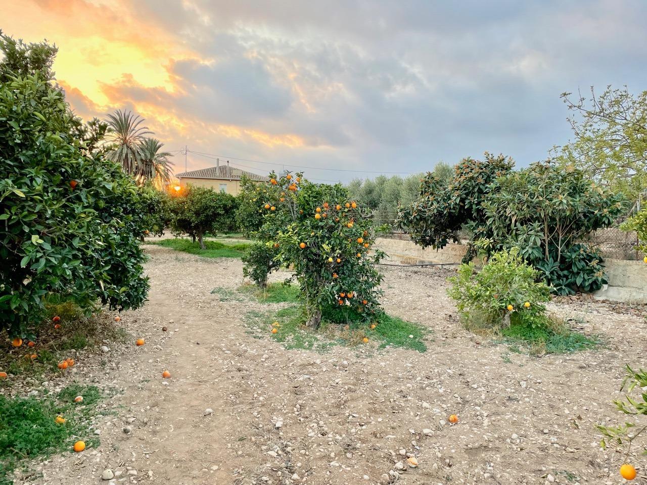 6 Bed, 2 Bath, HouseFor Sale, Benidorm, Alicante